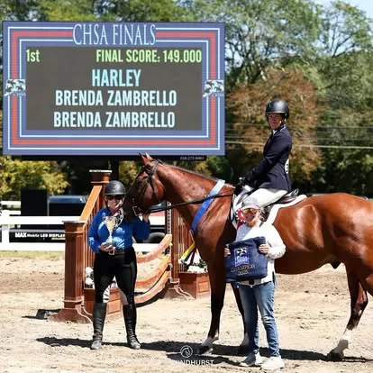 Rider on bay horse below CHSA Finals first-place scoreboard