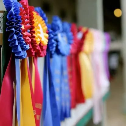 Row of blue, red and yellow show ribbons hanging