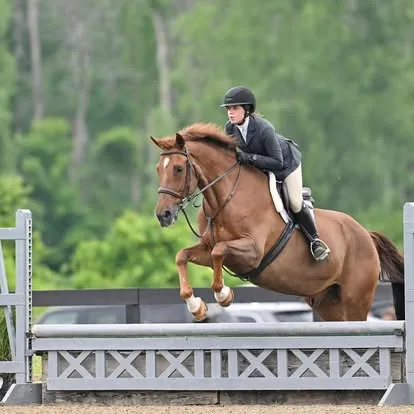 Rider on chestnut horse clearing a gray oxer in outdoor arena