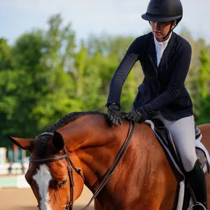 Rider in navy top mounted on bay horse before green trees