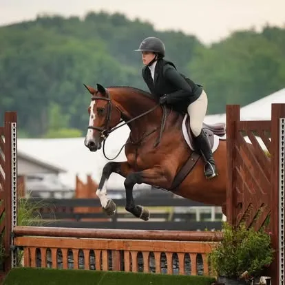 Rider in black on bay horse jumping wooden rail fence