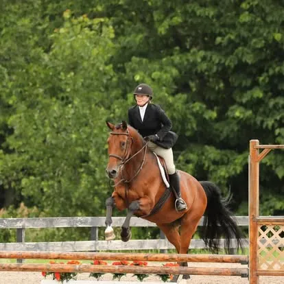 Smiling rider on bay horse turning past a wooden arena fence