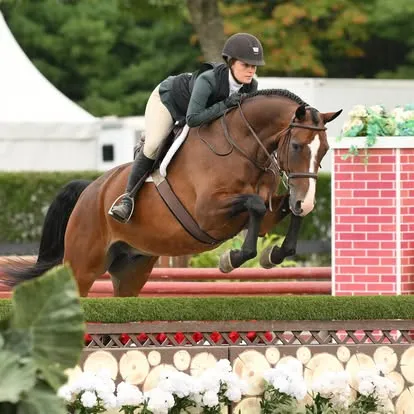 Rider on bay horse jumping a red brick-wall fence with flowers