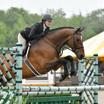 Rider in black on bay horse clearing green-and-white striped rails
