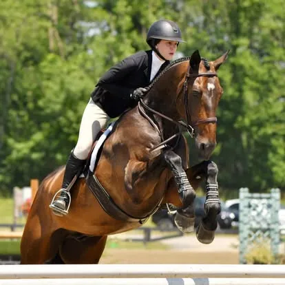 Rider in black jacket on bay horse mid-jump against green trees