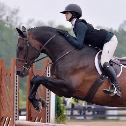 Rider in dark green on bay horse jumping wooden fence, number 4