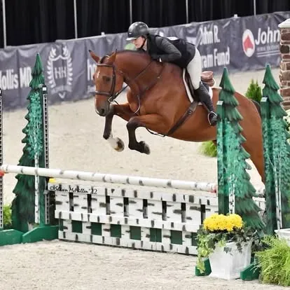 Rider on chestnut horse jumping fence flanked by pine-tree standards indoors