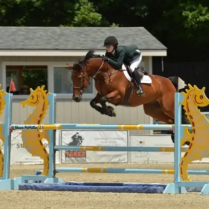 Rider on bay horse clearing seahorse-decorated jump standards in sand arena