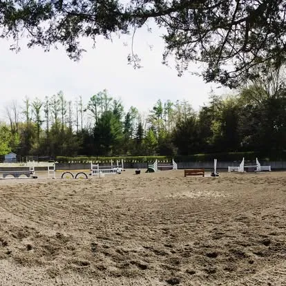 Outdoor sand riding arena set with jumps, ringed by trees