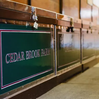 Row of green display cases along a barn wall reading Cedar Brook Farm