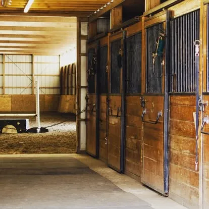Barn aisle of wooden horse stalls beside an indoor riding arena